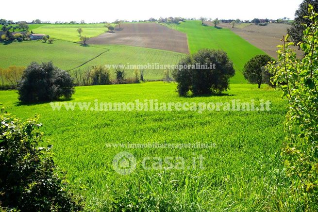 Terreno agricolo in commerciale in 