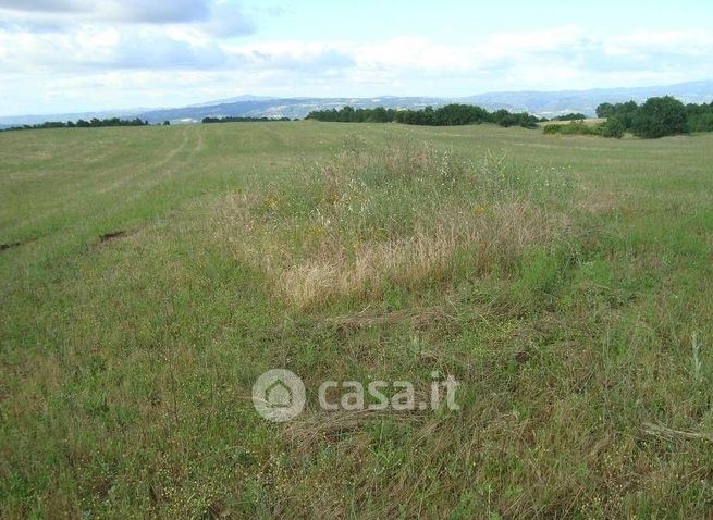Terreno agricolo in commerciale in 