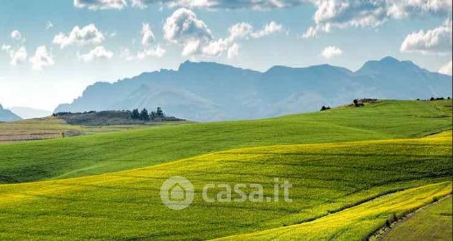 Terreno agricolo in commerciale in Via Paglierine 31