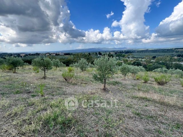 Terreno agricolo in commerciale in Strada Statale 439 Sarzanese Valdera