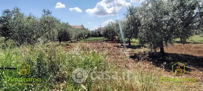 Terreno agricolo in commerciale in Via Torino