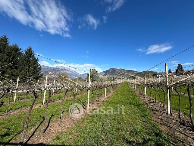 Terreno agricolo in commerciale in Via Gabbiolo