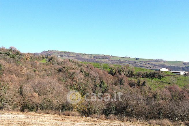 Terreno agricolo in commerciale in rosaro