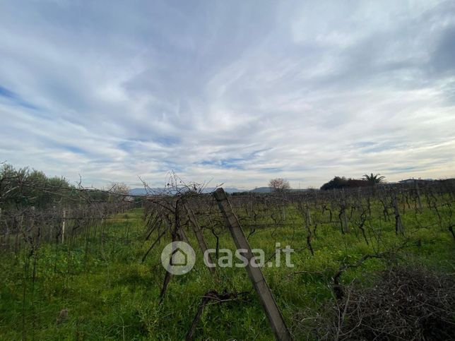 Terreno agricolo in commerciale in Via del Colle della Lite