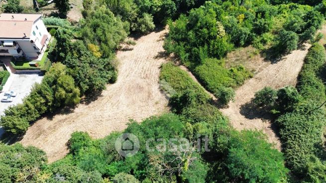 Terreno agricolo in commerciale in Via di Cotognola