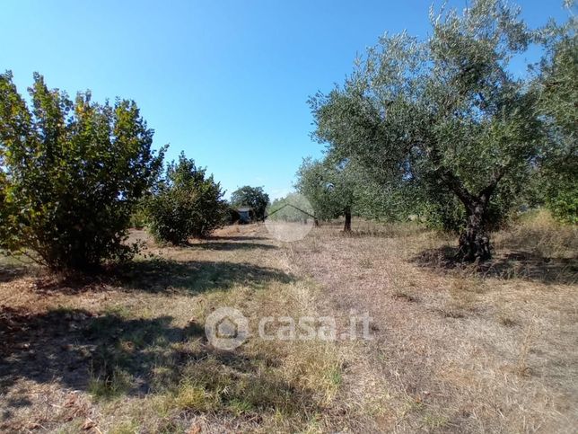 Terreno agricolo in commerciale in 