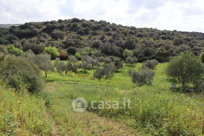 Terreno agricolo in commerciale in Via Generale Cascino