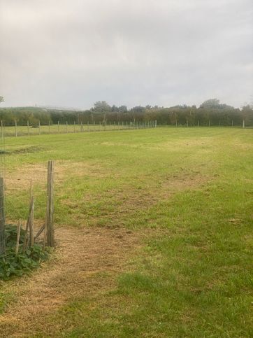 Terreno agricolo in commerciale in