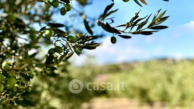 Terreno agricolo in commerciale in Via Madonna di Loreto