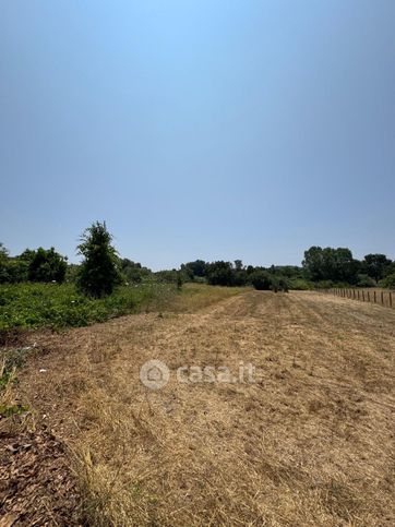 Terreno agricolo in commerciale in Via Ragusa 37