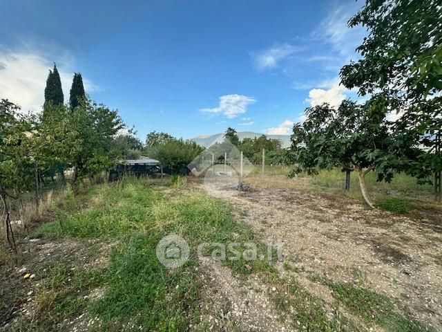 Terreno agricolo in commerciale in LocalitÃ  Santa Maria in Campis 1