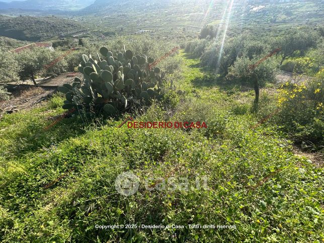 Terreno agricolo in commerciale in Strada Provinciale 127