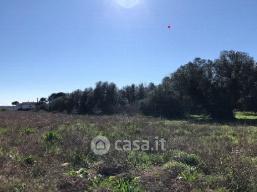Terreno agricolo in commerciale in Località La Valle