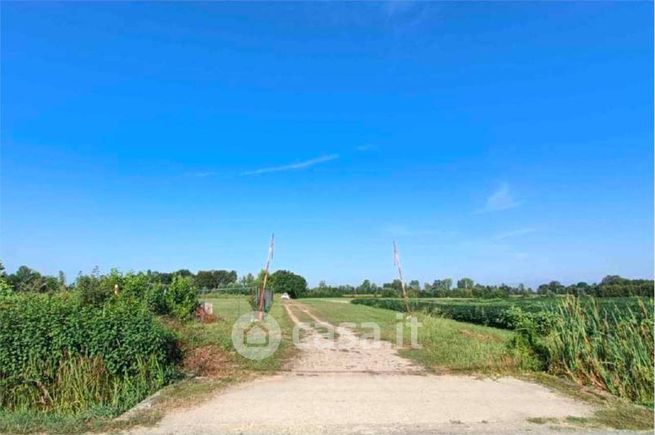 Terreno agricolo in commerciale in Via Zecchina