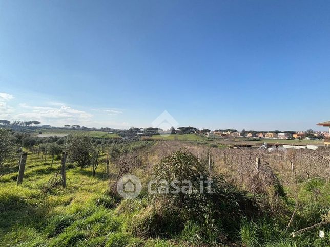 Terreno agricolo in commerciale in Via SS. Apostoli