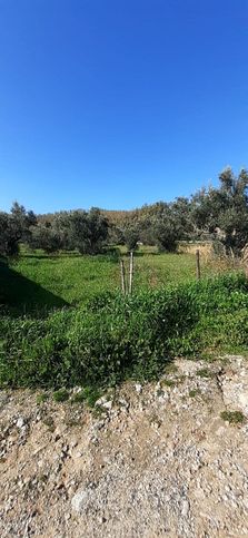 Terreno agricolo in commerciale in Via fiume busento