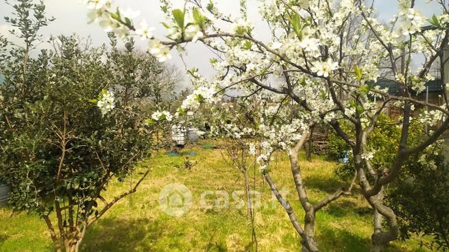 Terreno agricolo in commerciale in Via Pennisi Fiandaca