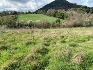 Terreno agricolo in commerciale in Via Claudia Braccianese