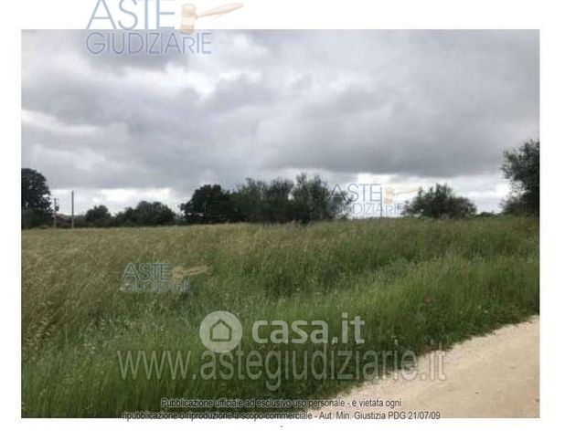 Terreno agricolo in commerciale in Strada Santa Lucia