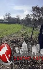 Terreno agricolo in commerciale in Carraro dei Girardi