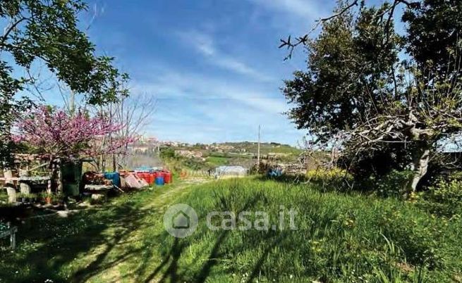 Terreno agricolo in commerciale in Strada Galilea