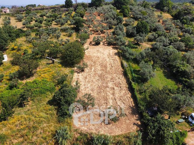 Terreno agricolo in commerciale in Strada della Fornace