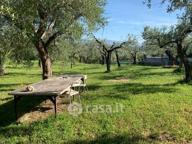 Terreno agricolo in commerciale in Via colle alto