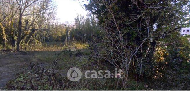 Terreno agricolo in commerciale in Via Bosco