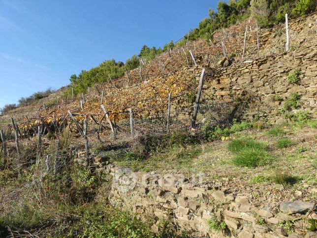 Rustico/casale in residenziale in Strada Provinciale 51 51