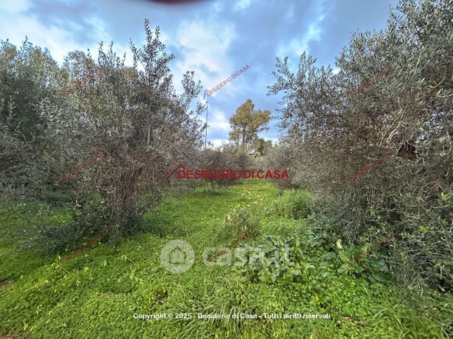 Terreno agricolo in commerciale in Via Alcide De Gasperi 259