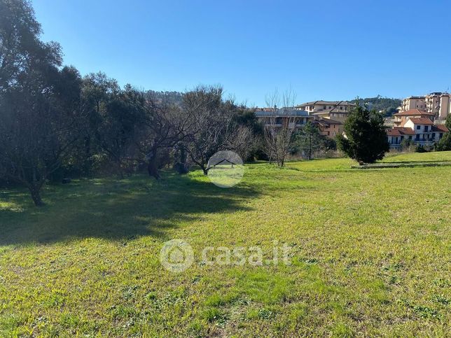 Terreno agricolo in commerciale in Via Michelini