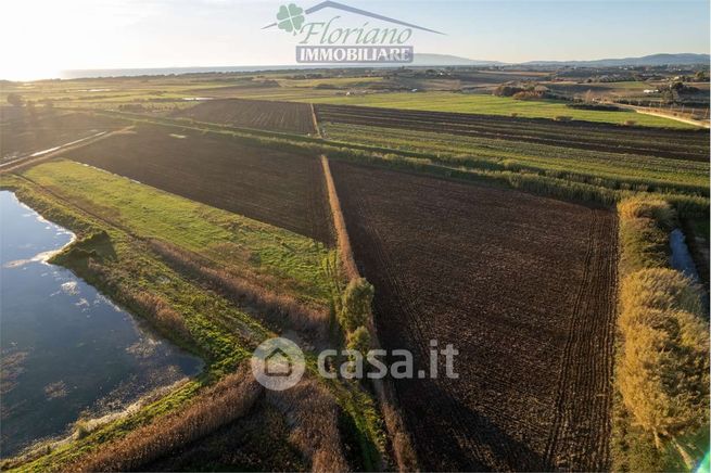 Terreno agricolo in commerciale in Strada dei Pantani