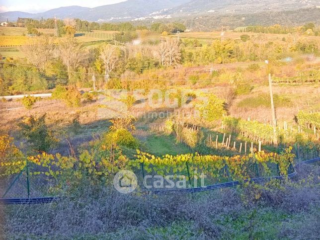 Terreno agricolo in commerciale in 