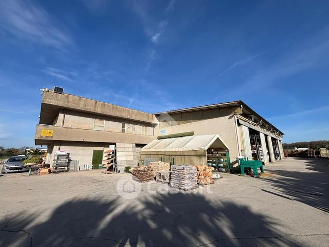 Capannone in commerciale in Via Ayrton Senna