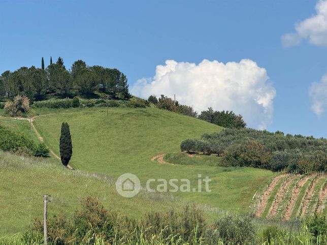 Terreno agricolo in commerciale in 