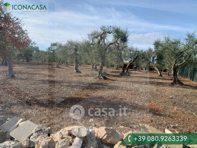 Terreno agricolo in commerciale in Via Adelfia