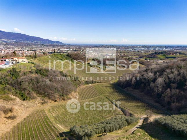 Terreno agricolo in commerciale in Via delle Perdonanze 13