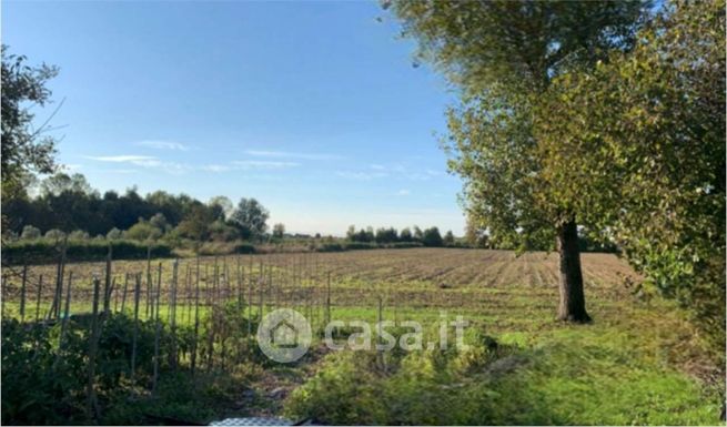 Terreno agricolo in commerciale in Via Casino Rosso