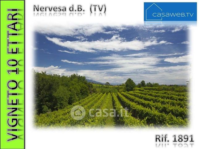 Terreno agricolo in commerciale in Via Busco