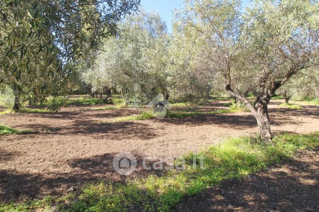 Terreno agricolo in commerciale in Villaggio Selene