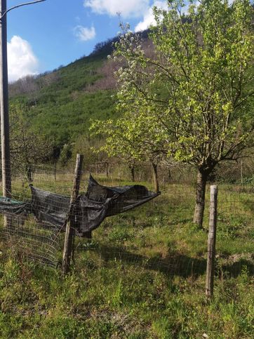 Terreno agricolo in commerciale in SS7bis 8
