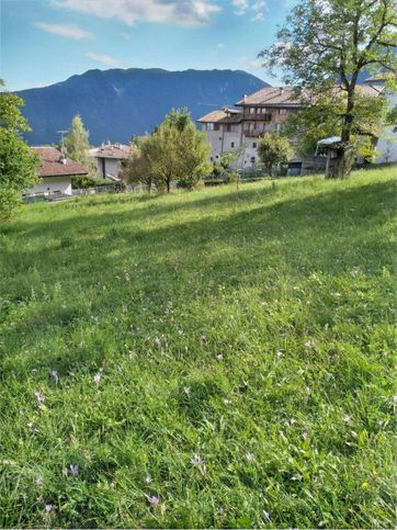 Terreno edificabile in residenziale in Località Rango