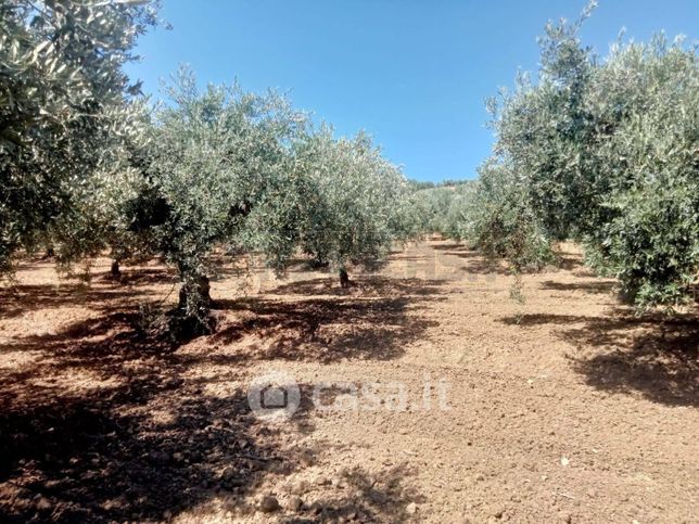 Terreno agricolo in commerciale in