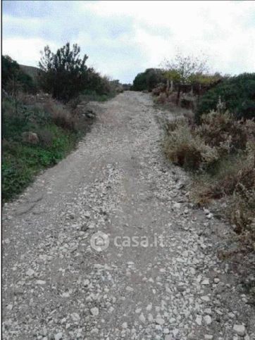 Terreno agricolo in commerciale in Contrada Bosco