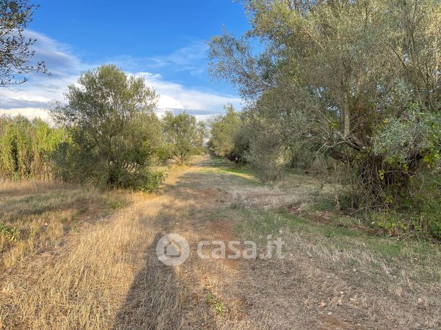 Terreno agricolo in commerciale in Strada Spiantacase