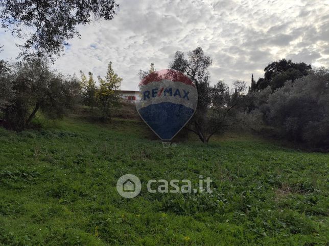 Terreno agricolo in commerciale in Via delle Begonie