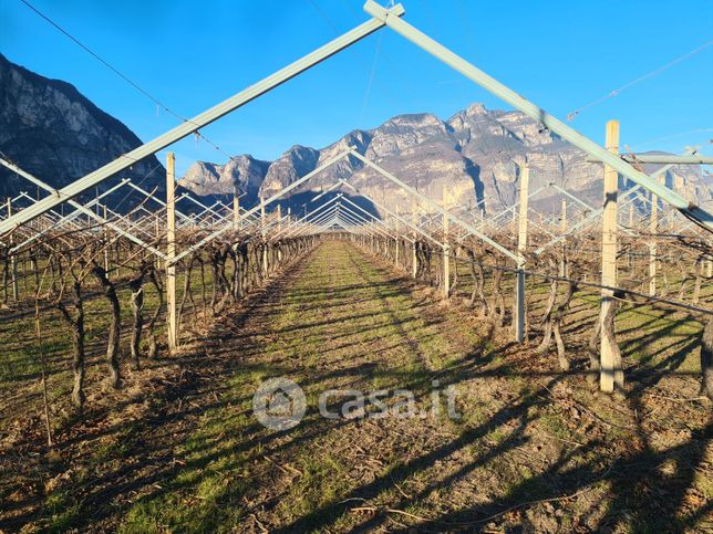 Terreno agricolo in commerciale in Strada Provinciale 90