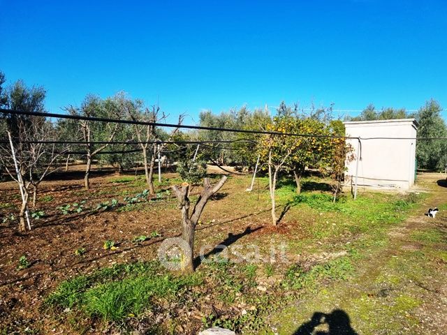 Terreno agricolo in commerciale in Via Gavetino