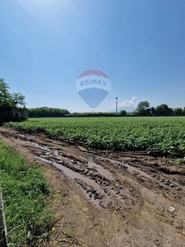 Terreno agricolo in commerciale in 