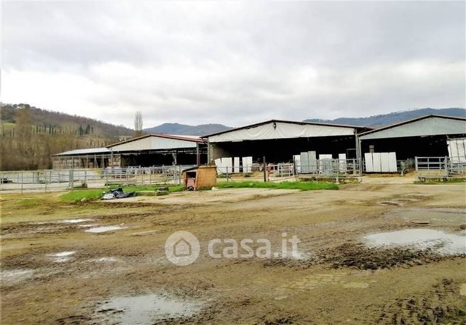 Terreno agricolo in commerciale in 